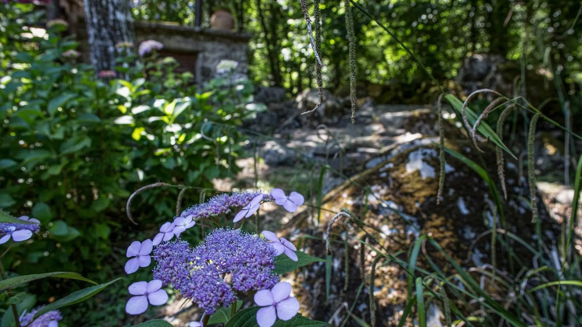 아레초 Casa Nel Bosco 빌라 펜션